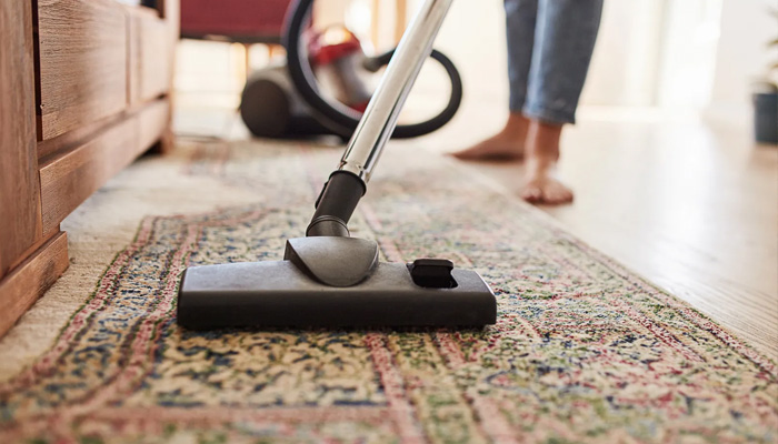 Your Ultimate Luxury Carpet Buying Guide: Types, Placement, Colors, Costs, Maintenance, and More